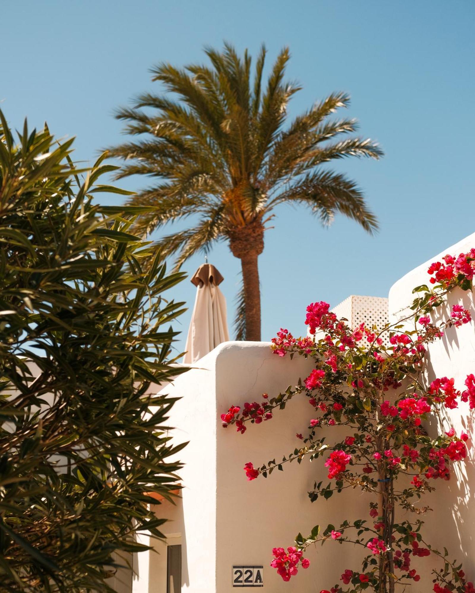 Unio Ibiza - Adults Only Hotel Cala Vadella  Cameră foto